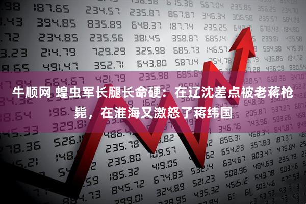 牛顺网 蝗虫军长腿长命硬：在辽沈差点被老蒋枪毙，在淮海又激怒了蒋纬国